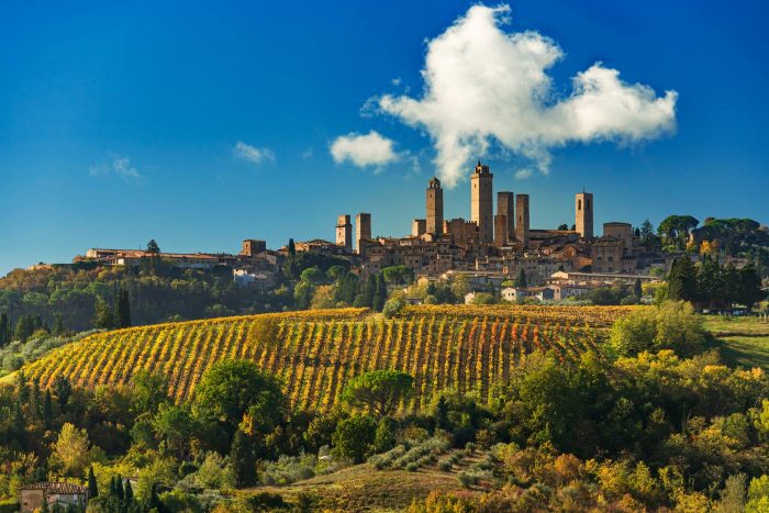 vernaccia-di-san-gimignano-white-wine-complete-guide